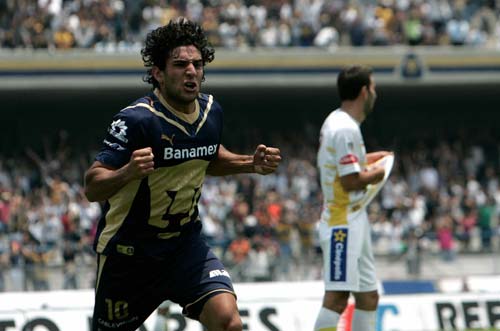 Pumas